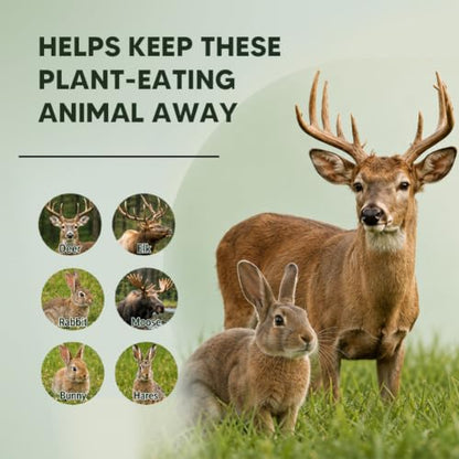 Deer Repellent, Rabbit Away Repellent, Bunny Repellent-12 Packs - size: 1.0 Ounce (Pack of 12)