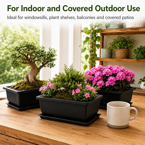 Plastic Bonsai Training Pots 3 Pack, 9 Inch with Drainage Holes and Trays - size: Large