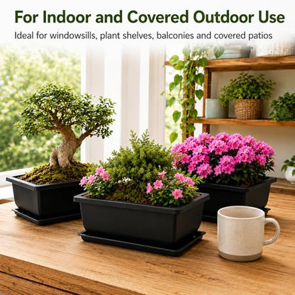 Plastic Bonsai Training Pots 3 Pack, 9 Inch with Drainage Holes and Trays - size: Large
