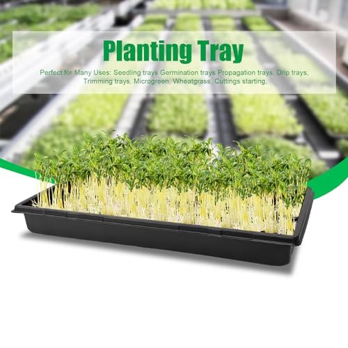 RooTrimmer 20 Pack 1020 Trays, No Drain Holes, 20" x 10", Extra Thick Heavy Duty Seed Starting Trays -Reusable Propagation Flats for Microgreens, Seedlings, Plant Germination, Fodder and Transplant - size: 1020 - 20 Pack Without Holes
