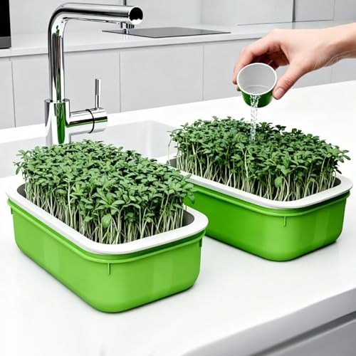 Plastic Double-Layer Plant Growing Nursery Pots Vegetable Flower Seedlings Tray Soilless Germination Plate Garden Tools,16.5 * 10.5 * 5.5cm(3 pcs) - color: 3 Pcs