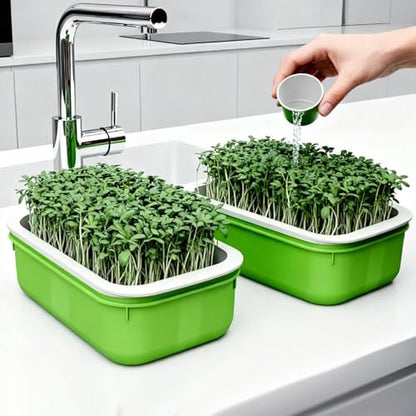 Plastic Double-Layer Plant Growing Nursery Pots Vegetable Flower Seedlings Tray Soilless Germination Plate Garden Tools,16.5 * 10.5 * 5.5cm(3 pcs) - color: 3 Pcs