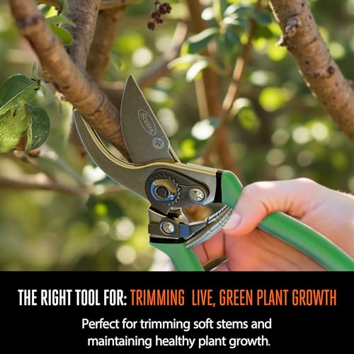 Scotts 2-Piece Pruning Shears Set – Includes 8 in. Bypass Pruner for Live Plants and 8 in. Anvil Pruner for Dry Stems – Sharp Carbon Steel Blades and Comfort Grip Handles for Garden and Yard Use - style: Anvil & Bypass Pruning Kit