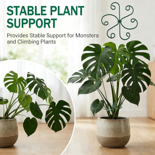 4PCS Iron Monstera Support, Plant Stem Support Uniquely Designed Plant Support Stakes for Indoor Plants, Stable Plant Stakes and Supports, Turtle Shell Bamboo Clamp Set for Thriving Growth