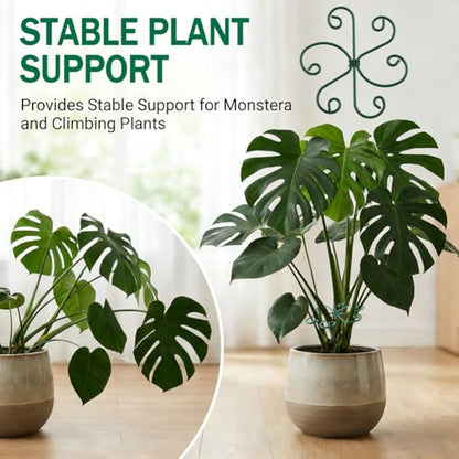 4PCS Iron Monstera Support, Plant Stem Support Uniquely Designed Plant Support Stakes for Indoor Plants, Stable Plant Stakes and Supports, Turtle Shell Bamboo Clamp Set for Thriving Growth