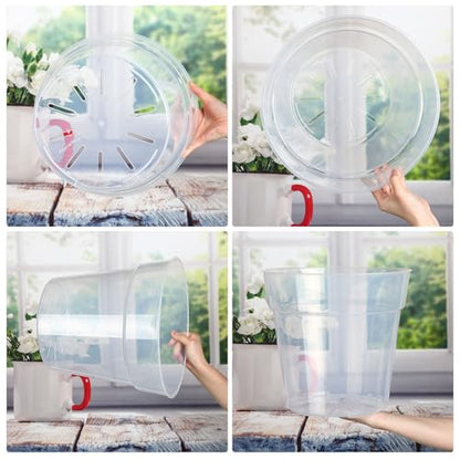 Baderke 3 Pack Clear Nursery Pot,13.65 Inch - size: 13.65 Inches