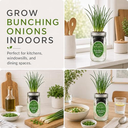 Hydroponic Vegetable Growing Kit, Self-Watering Mason Jar Vegetable Garden Starter Kit Indoor, Grow Bunching Onion from Organic Seeds (bunching Onion) - color: bunching onion