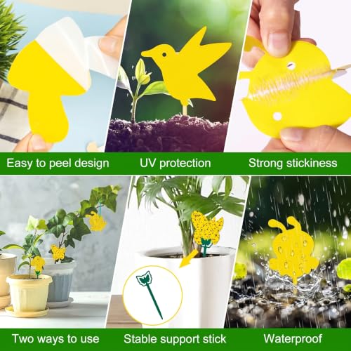 Fruit Fly Trap 96 Pack Yellow Sticky Gnat Killer Traps for Indoor Plants - size: 96 Packs