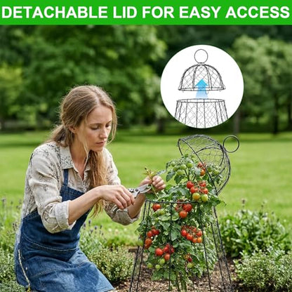 Garden Cloches for Plants 3 Pack - Chicken Wire Outdoor Plant Protectors from Animals - Heavy-Duty Metal Cage with Detachable Lid - Rustproof Covers - 12"D × 17"H - Blocks Rabbits, Squirrels & Birds - size: 3 Pack