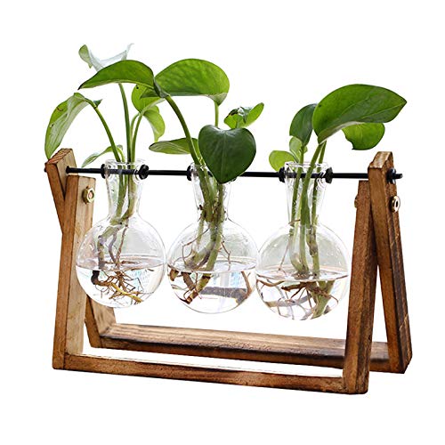 XXXFLOWER Plant Terrarium with Wooden Stand, Air Planter Bulb Glass Vase Metal Swivel Holder Retro Tabletop for Hydroponics Home Garden Office Decoration - 3 Bulb Vase - color: Transparent