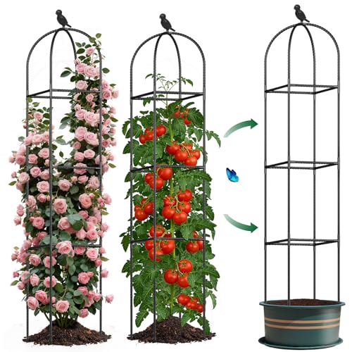 Square Tomato Cages for Garden, 6.2 FT Cucumber Trellis for Flowers, Grape, Pea, Rose, Bean, Rustproof Plastic Coated Metal Plant Support for Potted Plants Indoor Outdoor - 2PC Obelisk Trellis - color: Black (Square)