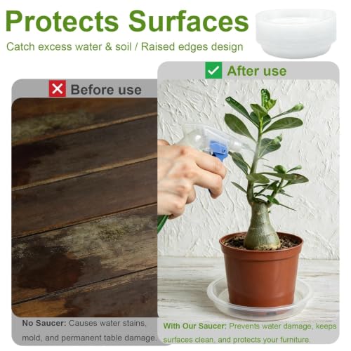 Delphinus 20 Pack Clear Plant Drip Trays, 6 Inch Round