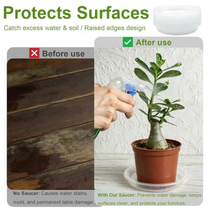 Delphinus 20 Pack Clear Plant Drip Trays, 6 Inch Round