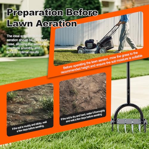 Bluesea Lawn Aerator Tool - 16 Iron Spikes with Ergonomic T-Handle, Automatic Dirt Clean for Soil Loosening & Yard Aeration, Manual Metal Grass Aerator (Black) - color: Black