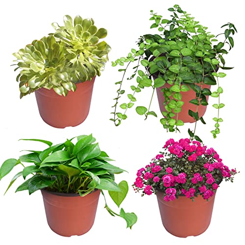 HOSTIC 9.4 Inch Nursery Pot Seedling Pot Plant Container Seed Starting Pots Multipurpose Plastic Pots 100 Packs - size: 9.4 Inch