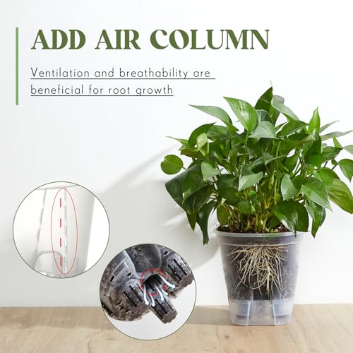 Wonderjune Self Watering Planter, 4.72'', Clear, 6 Pcs - color: Clear, size: 4.72''
