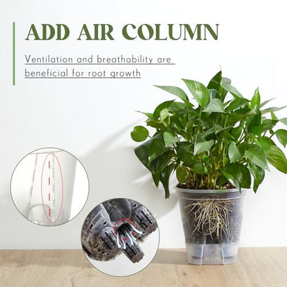 Wonderjune Self Watering Planter, 4.72'', Clear, 6 Pcs - color: Clear, size: 4.72''