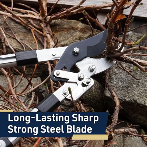 Kings County Tools Tree Trimmer Loppers with 26" - 40" Long Handles - style: 40" Extendable Bypass Lopper