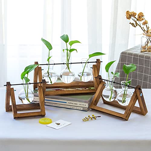 Kingbuy Glass Desktop Planter with Retro Wooden Stand, 2 Bulbs - size: 2 Bulb Vase