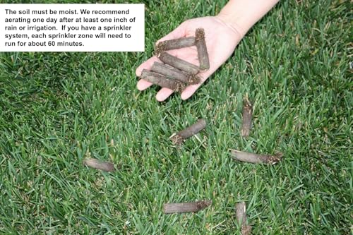 Core Lawn Aerator V4 Kit, 4.5 in Long Tines, Beige - size: Extra Long Coring Tines without Container