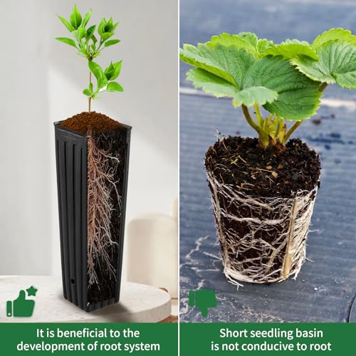 50 Pcs 12" Tall Tree Pots Plastic Deep Nursery Pots - color: 50pc Square