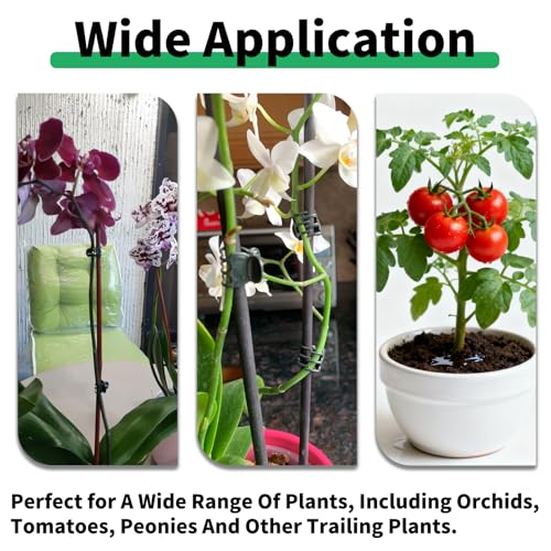 70 Pcs Plant Clips Orchid Clips Plants Orchid Support Clips Flower Vine Clips for Supporting Stems Vines Stalks Climbing Plant Grow Upright