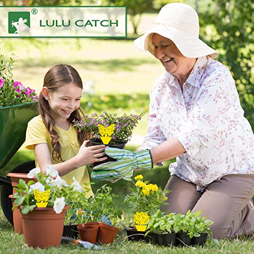 LULUCATCH Fruit Fly Sticky Traps 12 Pcs, Yellow Sticky Trap, Non-Toxic Gnat Traps Insect Catcher, Super Sticky Fly Traps for Indoor Outdoor Kitchen White Flies Mosquitos Fungus Gnats Flying Insects - size: 12 Pack