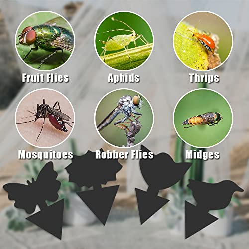 36 Pack Fungus Gnat Traps for House Plants, Sticky Traps for Indoor Outdoor Use to Get Rid of Whitefly Mosquitoes Fungus Gnats Thrips Leafminer Flying Insects Protect Your Plants (Black)