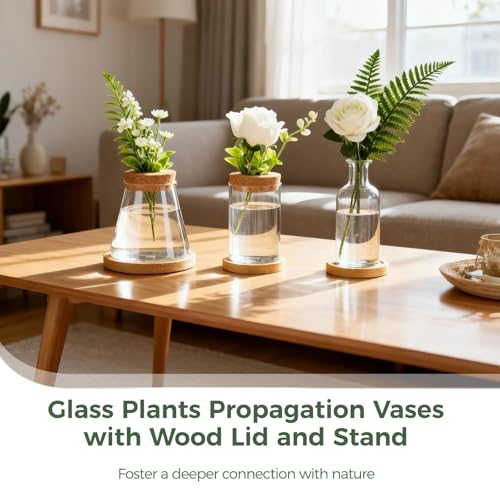 6PCS Plant Propagation Station, Desktop Plant Propagation Jars with Wood Lid and Stand, Glass Propagation Vases for Plant Growing, Hydroponic Home, Office Decor (6 Styles)