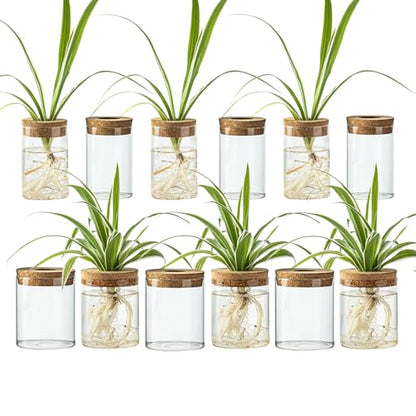Glass Propagation Stations for Plants -Desktop Flower Vases,Propagation Flower Vases Set – 6 Large & 6 Small for Plant Cuttings，for Living Room, Bedroom Decoration,Home,Office Decor (12)