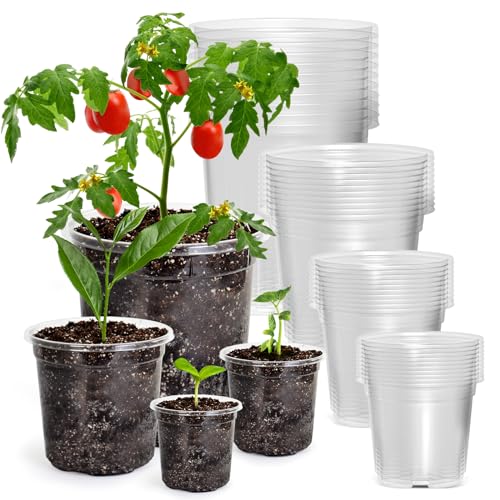 Bluepro Clear Nursery Pots with Drainage Holes, 3.5/4/5/7 Inch, 36-Pack - size: 3.5/4/5/7 Inch-36Pcs