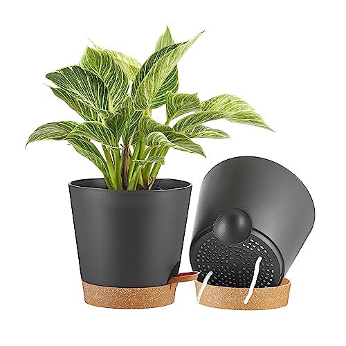 FaithLand 2-Pack 8 Inch Planter Pots for Indoor Outdoor Plants, Self Watering Flower Pots with Deep Reservoir, Black with Terracotta … - color: Black With Terracotta, size: 8 Inch