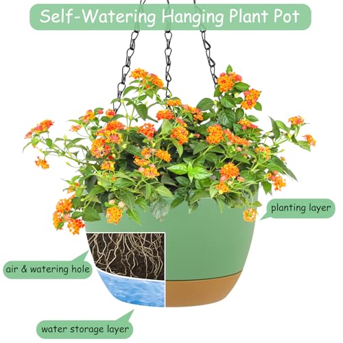 LIYDE 3 Pack Hanging Planters, 8 Inch Small Hanging Pots Self Watering Hanging Planters for Indoor Plants with Drainage Holes and Removable Tray Hanging Basket (Green) - color: Green