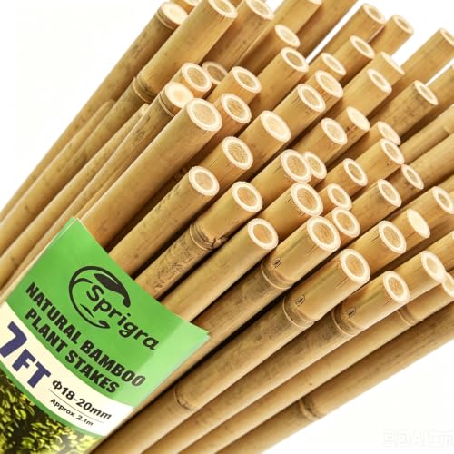 50pcs Bamboo Stakes 7FT, 84 inch Garden Stakes Multi-Purpose, Bamboo Plant Support Stakes for Tomato, Beans, Cucumbers, Peppers, Potted Trees, Maintain the Plant Posture, Strengthen and Stem - size: 7FT, Pack of 50