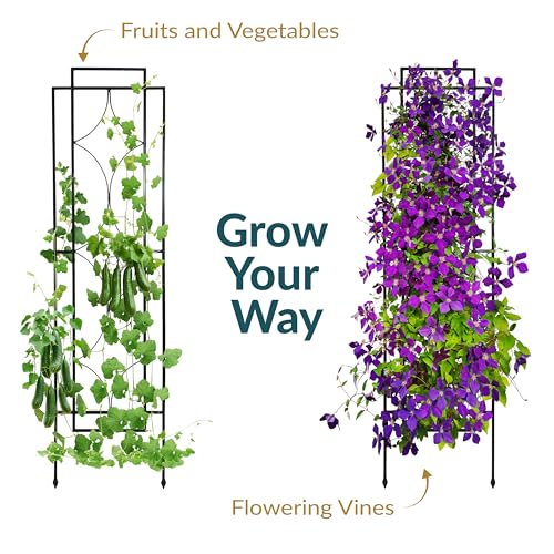 Sunnydaze 48" Black Metal Garden Trellis for Climbing Plants, 2-Pack - style: Chic Diamonds - 48"
