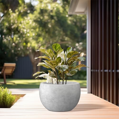 Kante Small Round Bowl Pale Gray Concrete Planter 11.8" Dia, Outdoor - color: Natural Concrete, size: 11.8" d