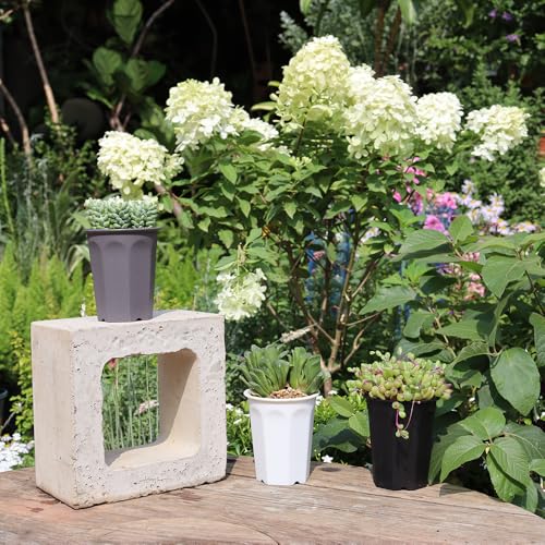 17 PCS 3.55" Plastic Deep Nursery and Seedling Pots, Round Transplant Seed Starter Planter,Gray Color - color: Gray, size: 3.55 inch