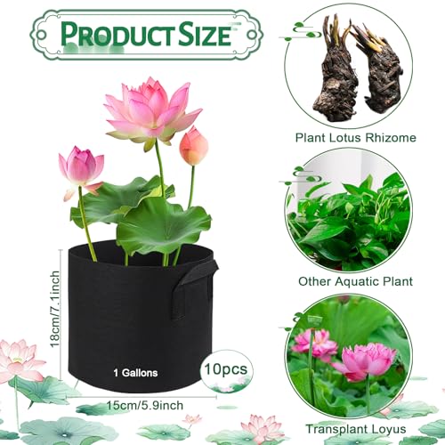 10 Pack Lily Plant Pots for Pond, Aquatic Pond Planter for Pond Reusable Pond Plant Basket Grow Bags for Pond, Aquatic Plants, Potato, Carrot, Onion, Flower (1 Gallon) - size: 1 Gallon