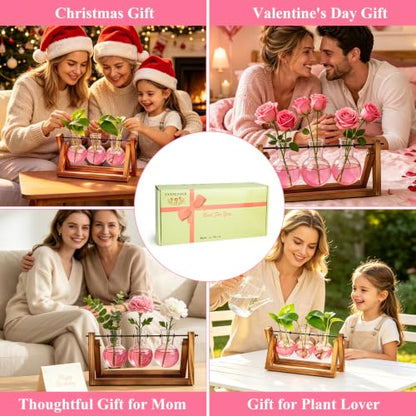 XXXFLOWER Plant Terrarium Kit with Wooden Stand 3 Gradient Pink Bulb Vases - color: Pink