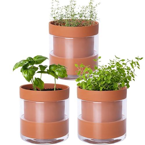 Phoenix Vine 4 Inch Self Watering Planter Pot, Terracotta Clay Pot with Glass Reservoir for Indoor Plants, Herbs, Flowers, Set of 3, 52-A-E-3 - color: Terracotta, size: 4" (3 Pack)