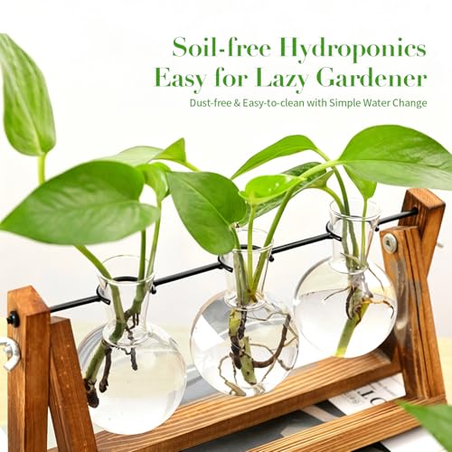 Plant Terrarium with Wooden Stand & 3 Glass Bulb Vases, Metal Swivel Holder Retro Tabletop, Propagation Vases for Indoor Plants, Gardening Gifts for Plants Lovers