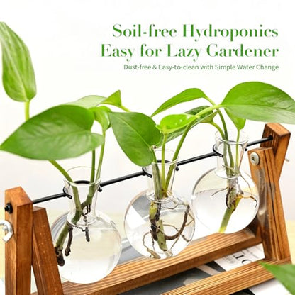 Plant Terrarium with Wooden Stand & 3 Glass Bulb Vases, Metal Swivel Holder Retro Tabletop, Propagation Vases for Indoor Plants, Gardening Gifts for Plants Lovers