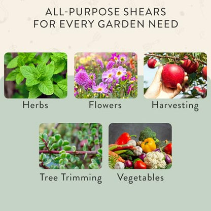 Modern Sprout Pruning Shears - Garden Snips - Herb Scissors - Sage 1-Pack - color: Sage