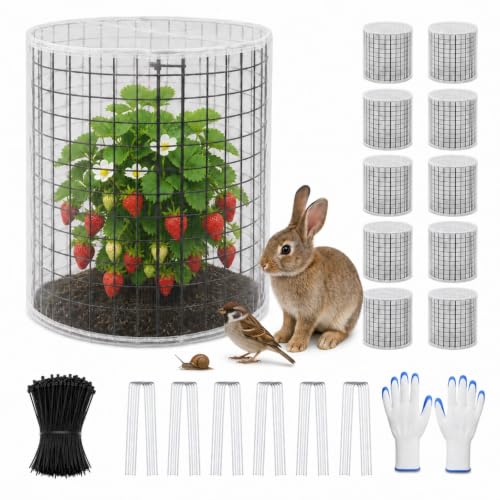 Plant Cages with Insect-Proof Netting, 10 Sets 30Pcs Wire Plant Protectors, 14" H x 13" D Cylinder Mesh Covers with Zip Ties & Ground Stakes, Animal Barrier for Rabbits Chickens Vegetables Flowers - color: 10 Pack With Netting