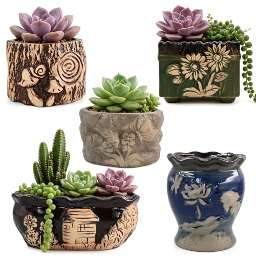 Succulent Garden Pots Ceramic Planter Small Plant Container with Drainage Set of 5 for Home Office Decor - color: C Set of 5