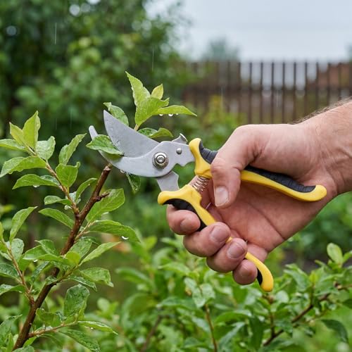Lothee 9 Pcs Garden Pruning Shears Bulk, Gardening Shears&Scissors, Yellow - color: Yellow