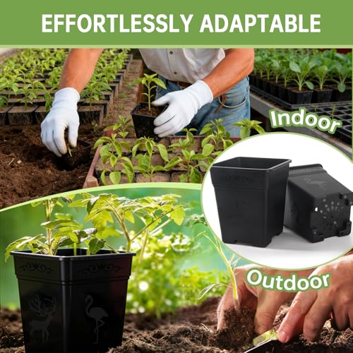 36 Pack 5.5 Inch Square Nursery Pots, Plastic Flower Pots with Drainage, Plant Pots for Plants, Reusable Planting Pots Planter for Seedlings, Transplanting & Indoor Use