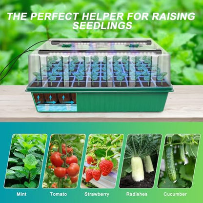 GOOINMILL Self-Watering Seed Starter Tray with Timed Grow Light, 60 Cells Plant Starter Tray Seedling Starter Kit with Humidity Domes Base Indoor Mini Greenhouse Plant Germination Trays