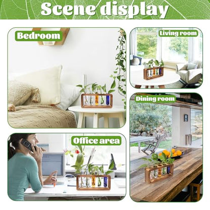 Glass Plant Propagation Station with 5 Test Tubes Colorful Planter Vase - color: Color-01