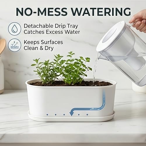Small Rectangular Planter Box Planters 5-Pack